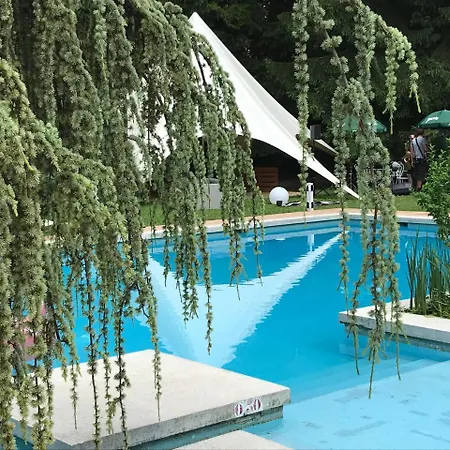 Hotel Hotel-restaurant 